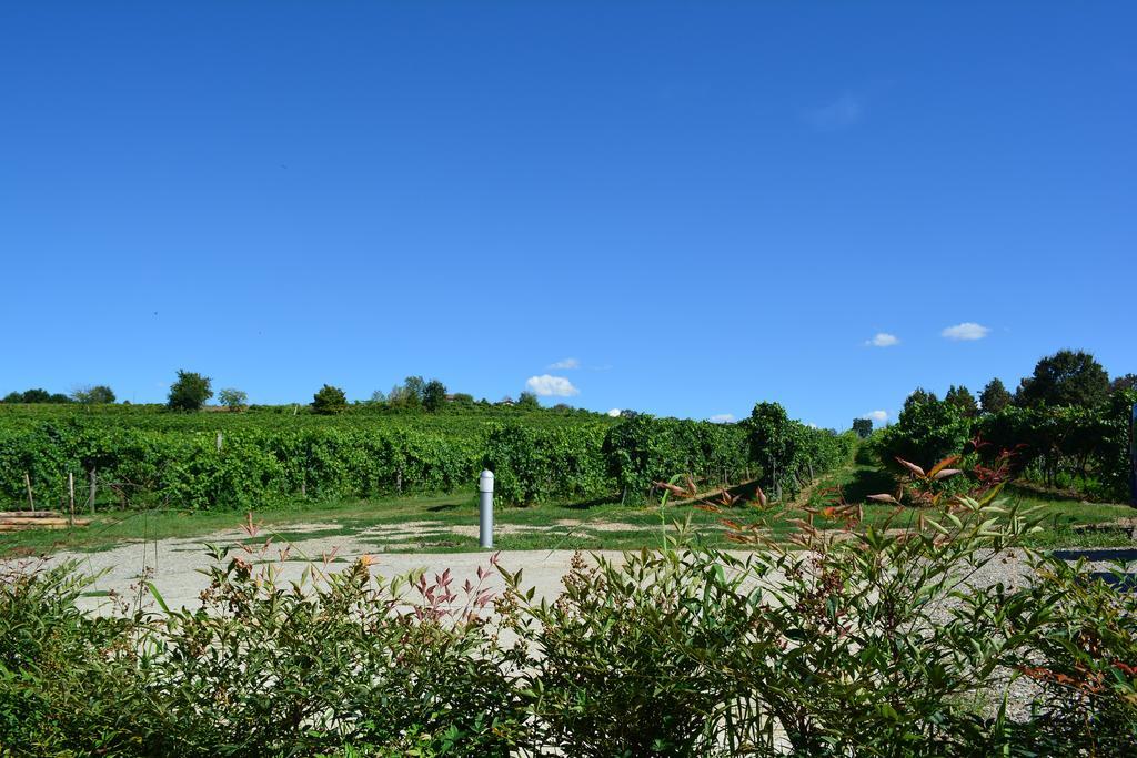 Le Stanze Di Bacco Villa Monteveglio Exterior photo